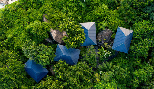 Accor awarded ‘A’ rating by CDP for its environmental leadership and actions on climate change