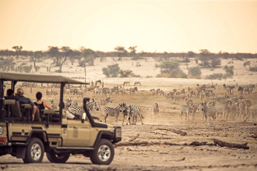 Desert & Delta Safaris Receives World Luxury Travel Award for Sustainable Tourism in Southern Africa