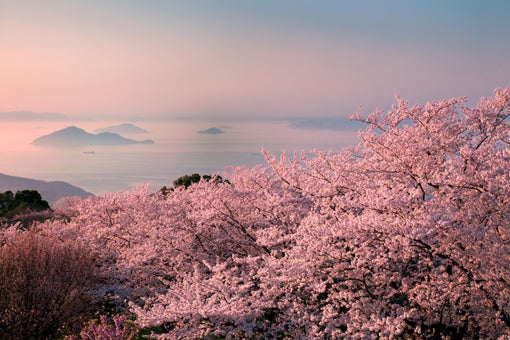 Immersive Wellness in Japan’s Setouchi Region