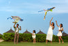 Alma Named ‘Best Family Resort in Vietnam’ by Holidays With Kids Magazine