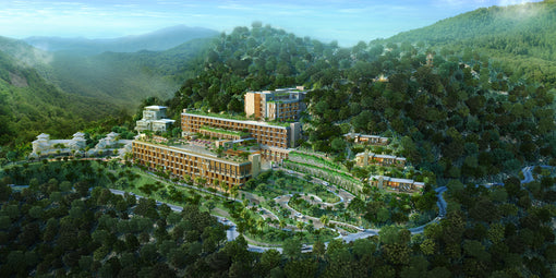 World Conservation Day - The Westin Resort & Spa Himalayas' Sustainable Initiatives