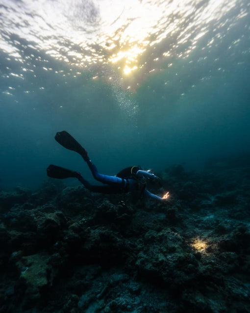 Unveiling The Nautilus Maldives’ starlit summer adventure - the Ocean Discovery Week