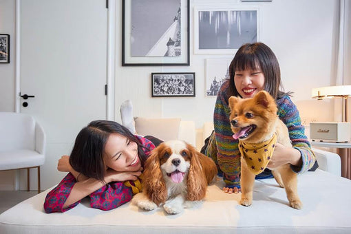 Thailand’s First INNSiDE Hotel Lets Fido In On The Action